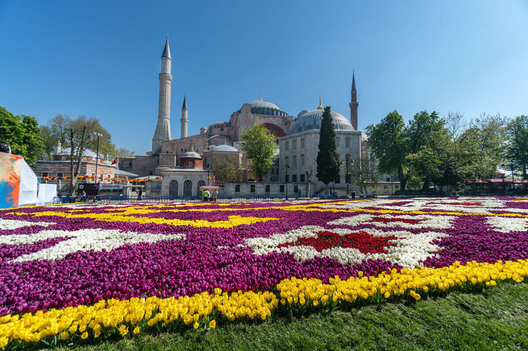 Explora El Cairo y Estambul